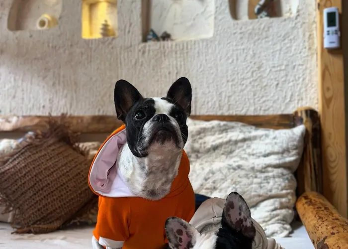 Loft Country * Каш