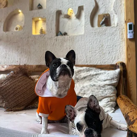 Loft Country * 卡斯